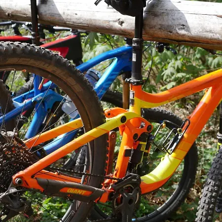 Hotel-hauensteiner-hof Hotel 3*