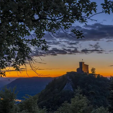 Hotel-hauensteiner-hof 3*