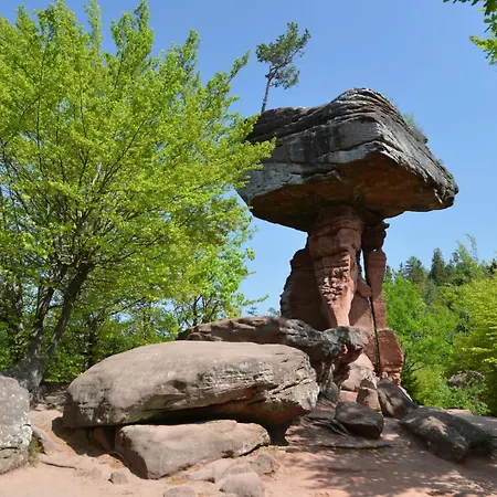 Hotel-hauensteiner-hof Hotel 3*