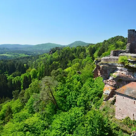 Hotel Hotel-hauensteiner-hof 3*