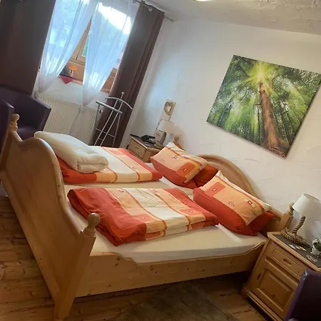 Hotel-hauensteiner-hof 3*