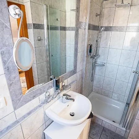 Hotel-hauensteiner-hof ホテル