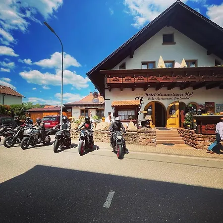 ホテル Hotel-hauensteiner-hof 3*