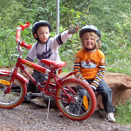 Hotel Hotel-hauensteiner-hof Hauenstein