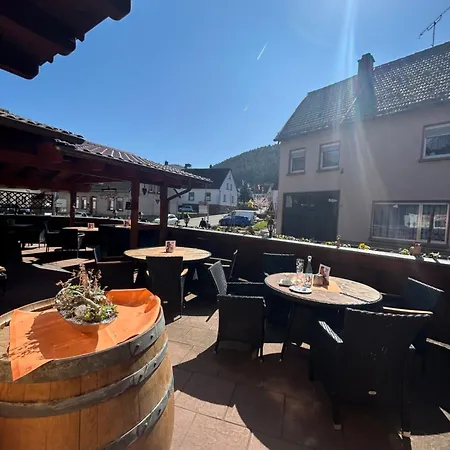 Hotel-hauensteiner-hof 3* ハウエンシュタイン