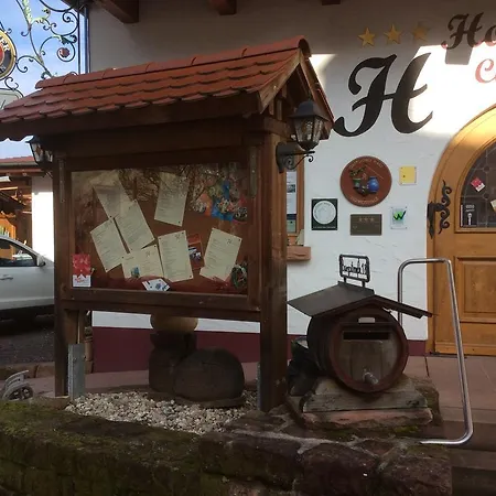 Hotel-hauensteiner-hof Hotel 3*