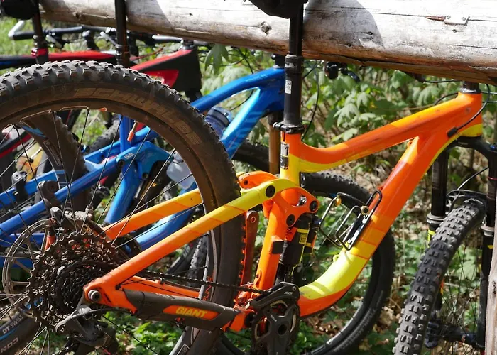 Hotel-hauensteiner-hof Hotel 3*