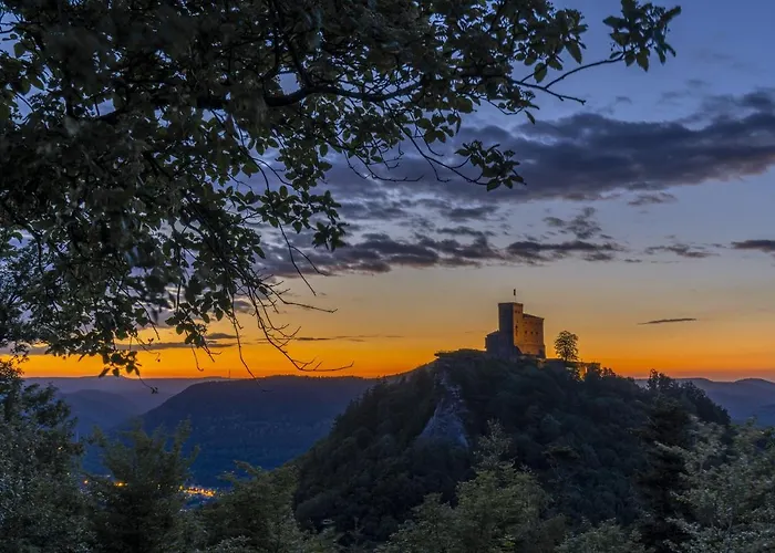 Hotel-hauensteiner-hof 3*