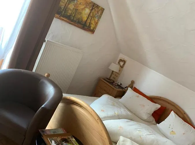 Hotel Hotel-hauensteiner-hof 3*