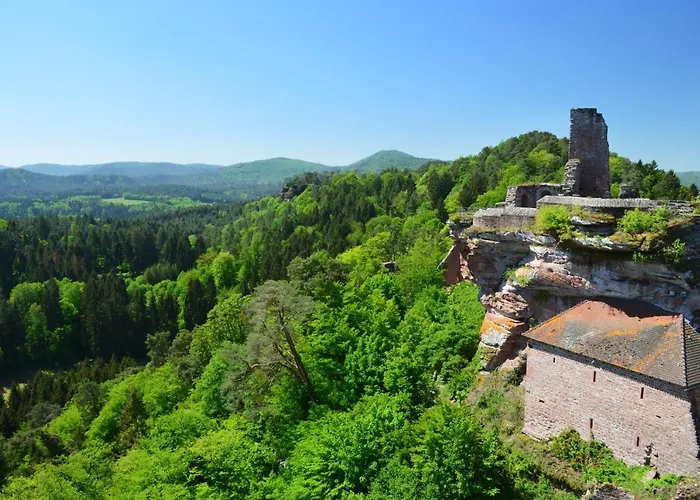Hotel Hotel-hauensteiner-hof 3*