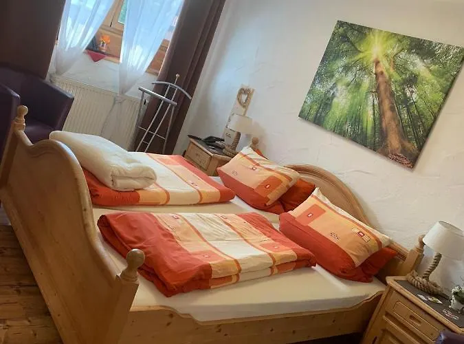 Hotel-hauensteiner-hof 3*