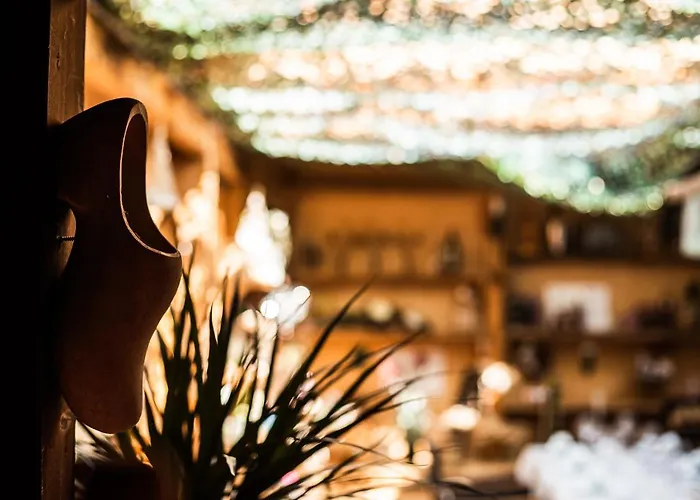 Hotel-hauensteiner-hof Hotel Hauenstein