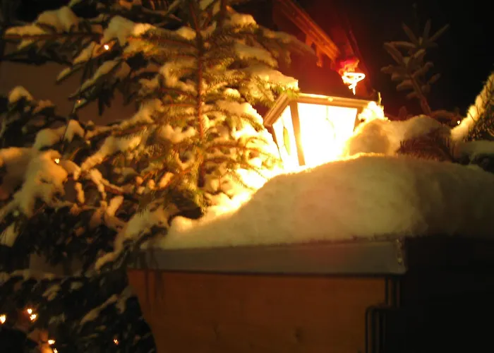 Hotel Hotel-hauensteiner-hof 3*