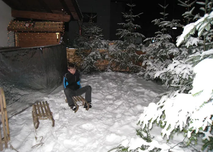 Hotel Hotel-hauensteiner-hof 3*