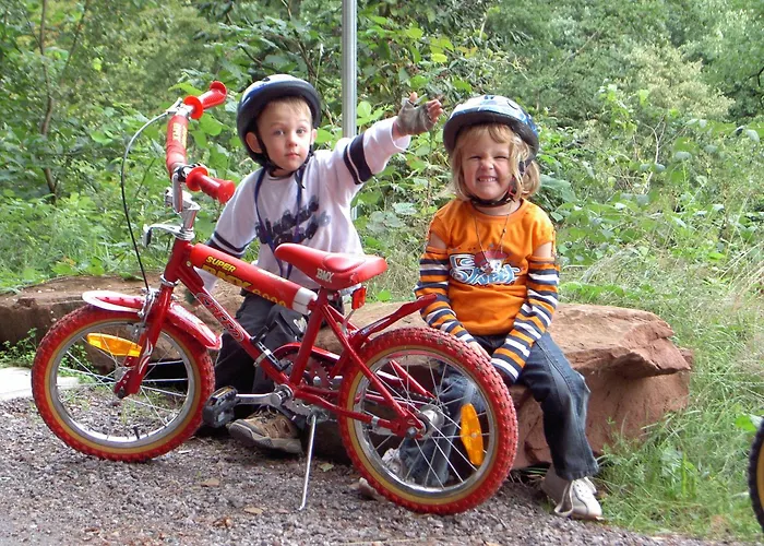 Hotel Hotel-hauensteiner-hof Hauenstein