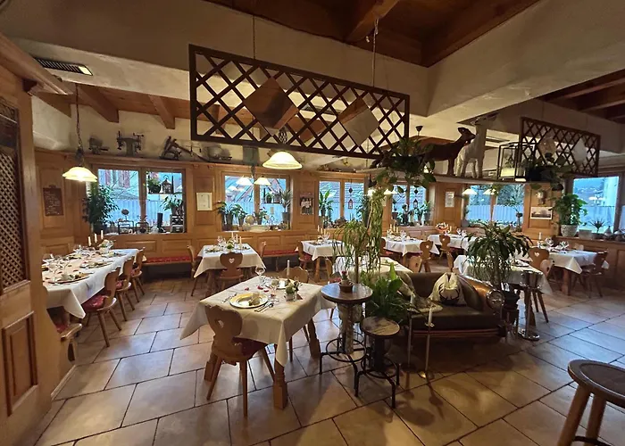 Hotel Hotel-hauensteiner-hof 3*